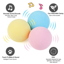 Load image into Gallery viewer, Smart Cat Toys Interactive Ball Catnip Cats Toy Playing Ball +

